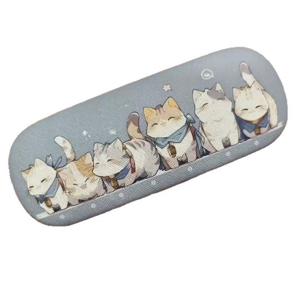 Travel Accessories Ideas - Boîte de rangement pour lunettes, support